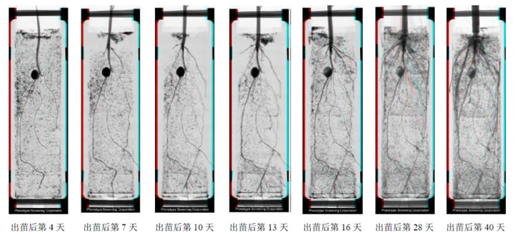 圖524050902.jpg 圖524050902.jpg