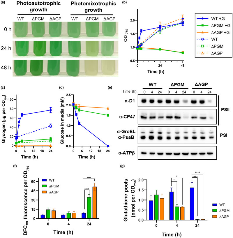 圖224050803.jpg 圖224050803.jpg