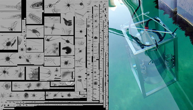 圖224051101.jpg 圖224051101.jpg