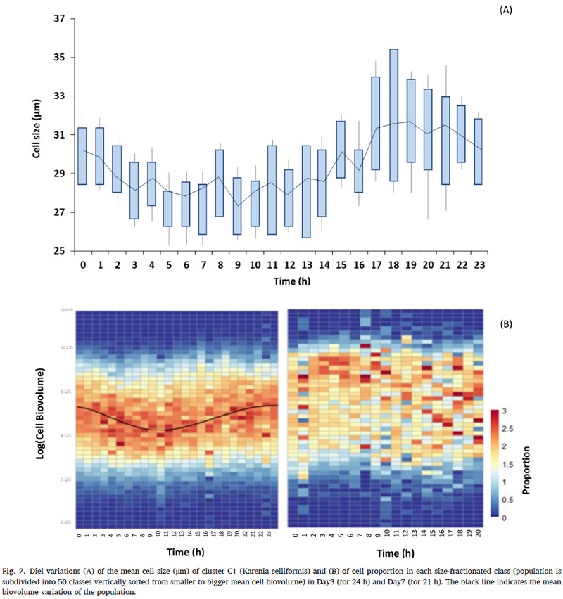 圖724053103.jpg 圖724053103.jpg