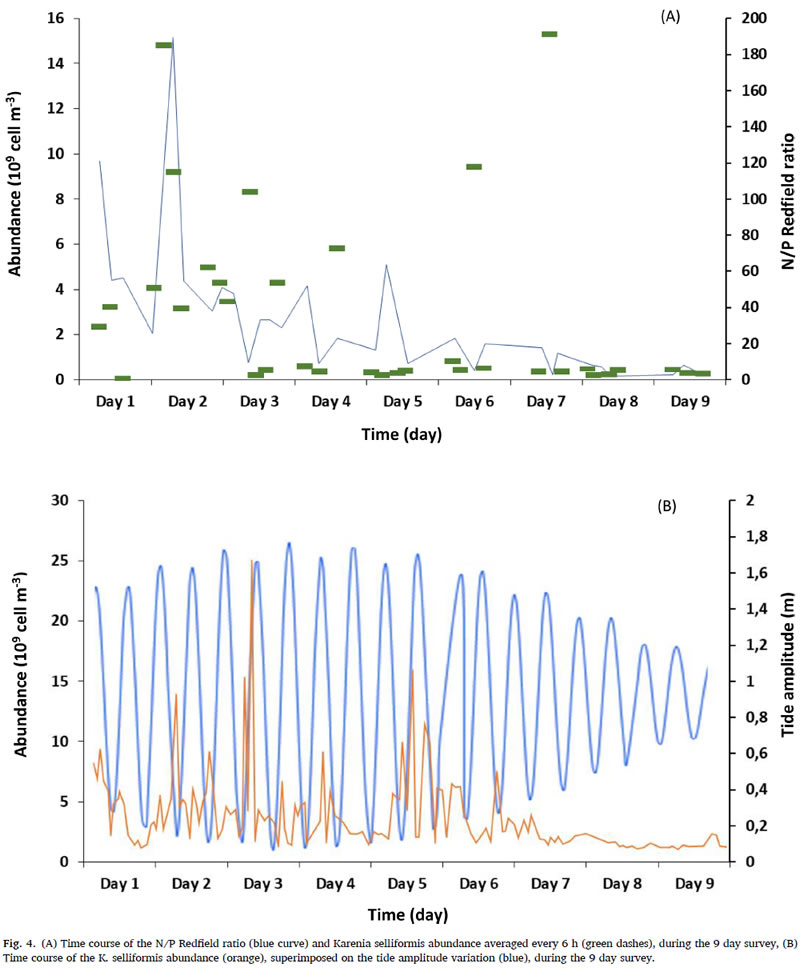 圖424053103.jpg 圖424053103.jpg