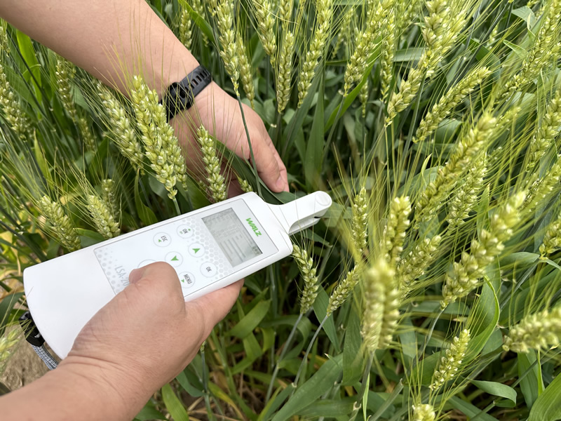 66696313e9166.jpg 66696313e9166.jpg