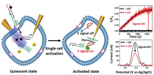 rayme2.jpg rayme2.jpg