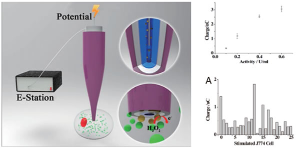 rayme3.jpg rayme3.jpg