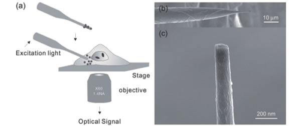 rayme6.jpg rayme6.jpg