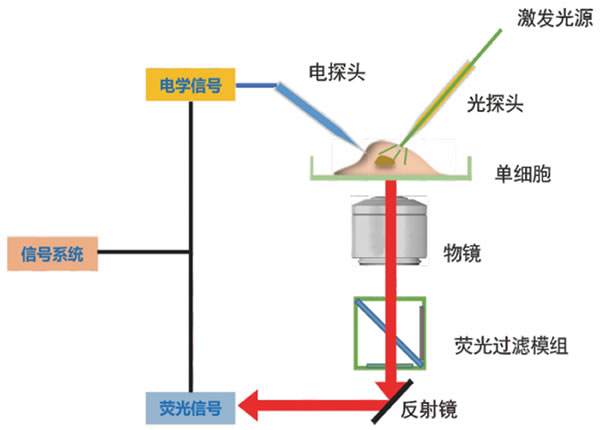 rayme7.jpg rayme7.jpg