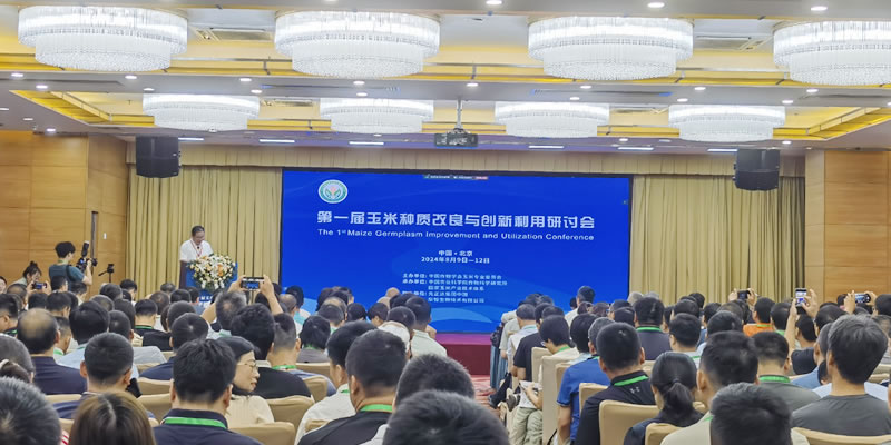 圖124081602.jpg 圖124081602.jpg