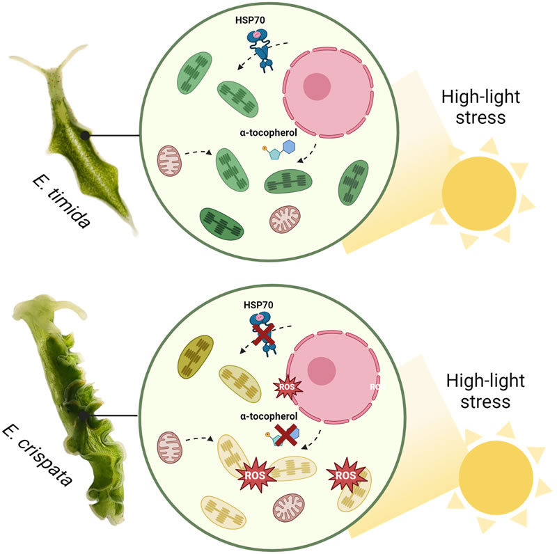 圖424053106.jpg 圖424053106.jpg