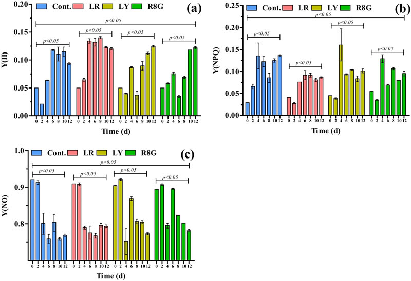 圖224053001.jpg 圖224053001.jpg