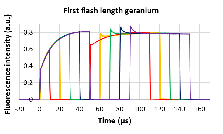 14-car-triplet-decay-3.png 14-car-triplet-decay-3.png