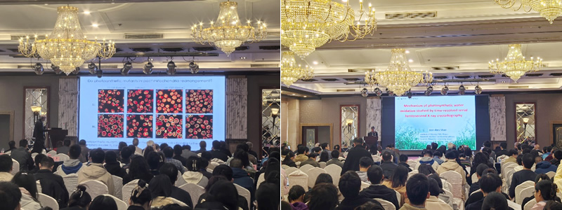 圖224103002.jpg 圖224103002.jpg