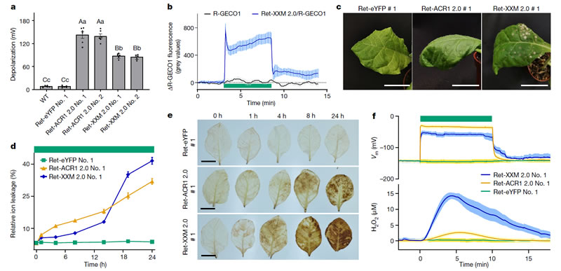 圖224090201.jpg 圖224090201.jpg