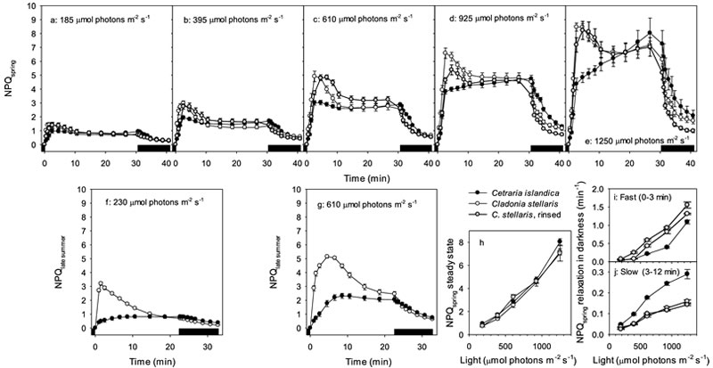 圖624080201.jpg 圖624080201.jpg