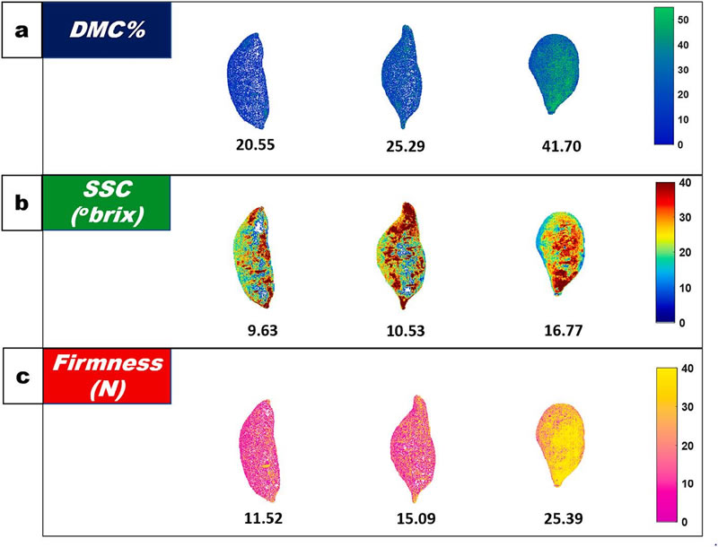 圖824071101.jpg 圖824071101.jpg