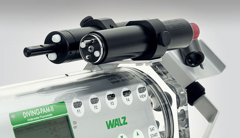 圖424121901.jpg 圖424121901.jpg