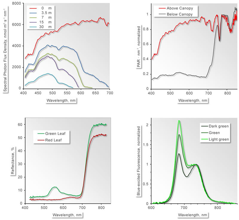 圖524121901.jpg 圖524121901.jpg