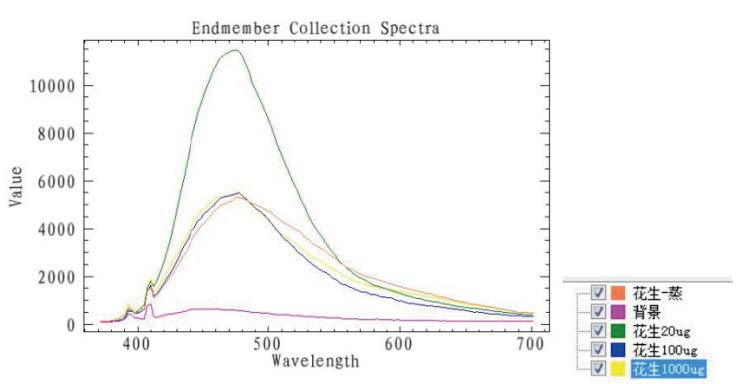 圖片7.png 圖片7.png