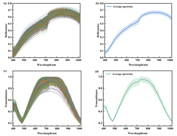 圖片10.png 圖片10.png