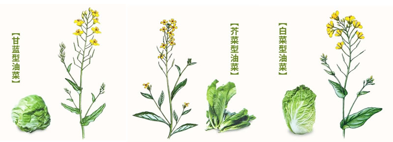 圖125021704.jpg 圖125021704.jpg