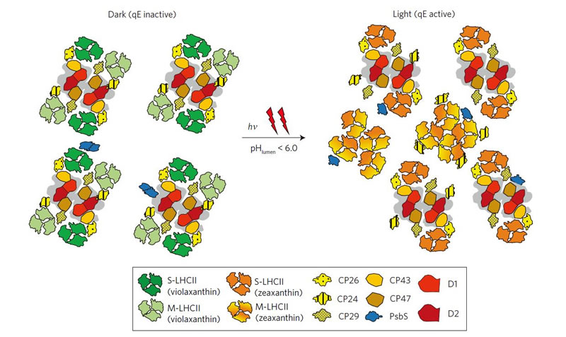 圖725022801.jpg 圖725022801.jpg