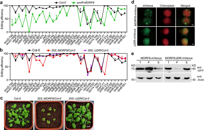 圖325032401s.jpg 圖325032401s.jpg