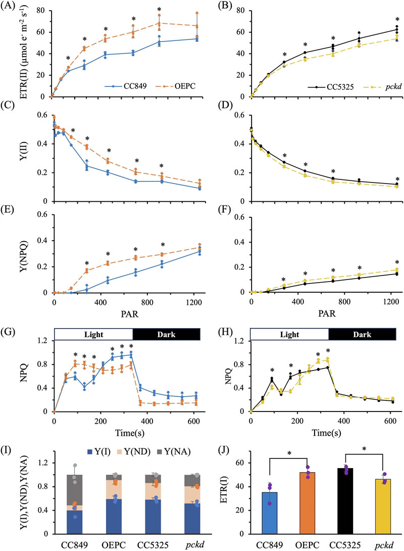 圖225032601.jpg 圖225032601.jpg