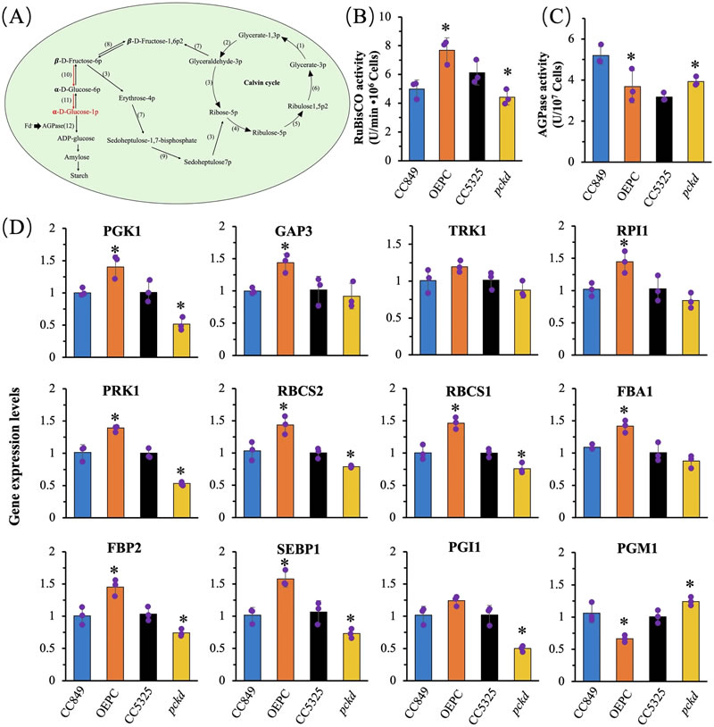 圖525032601.jpg 圖525032601.jpg