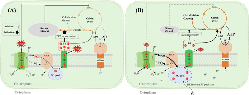 圖725032601.jpg 圖725032601.jpg