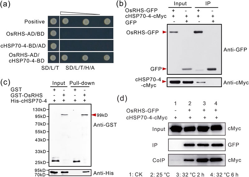 圖525033101.jpg 圖525033101.jpg