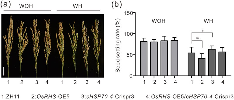 圖725033101.jpg 圖725033101.jpg