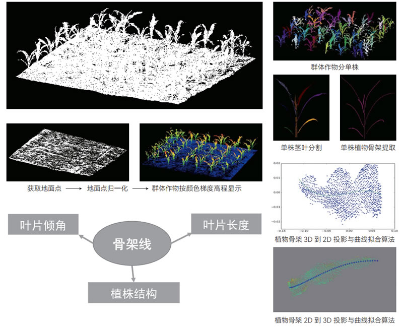 25061603.jpg 25061603.jpg