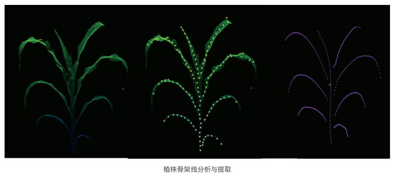 250616041.jpg 250616041.jpg