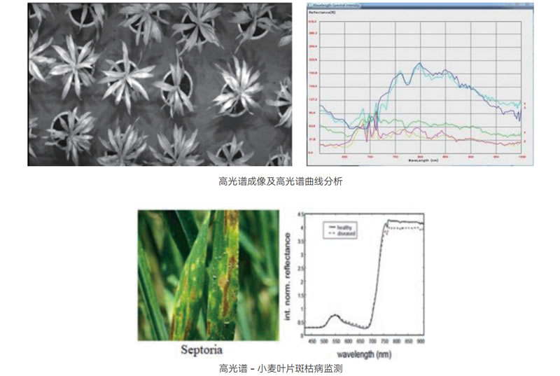 250616052.jpg 250616052.jpg