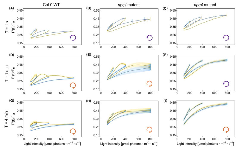 圖425080601.jpg 圖425080601.jpg
