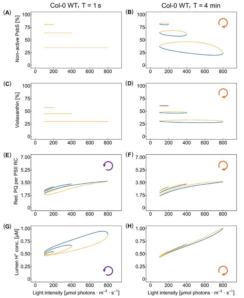 圖625080601.jpg 圖625080601.jpg