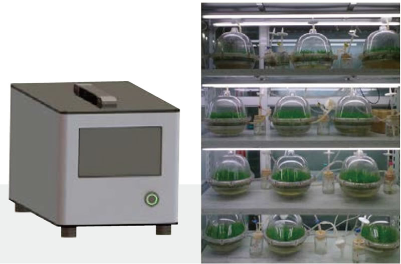 BioF25081201.jpg BioF25081201.jpg