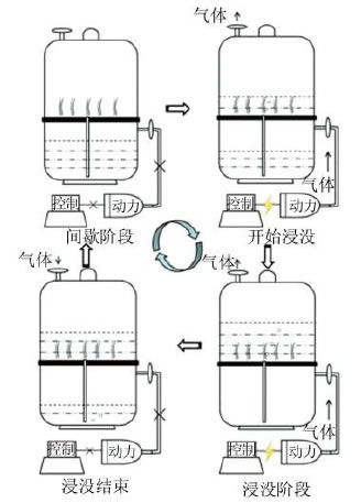 BioF25081203.jpg BioF25081203.jpg