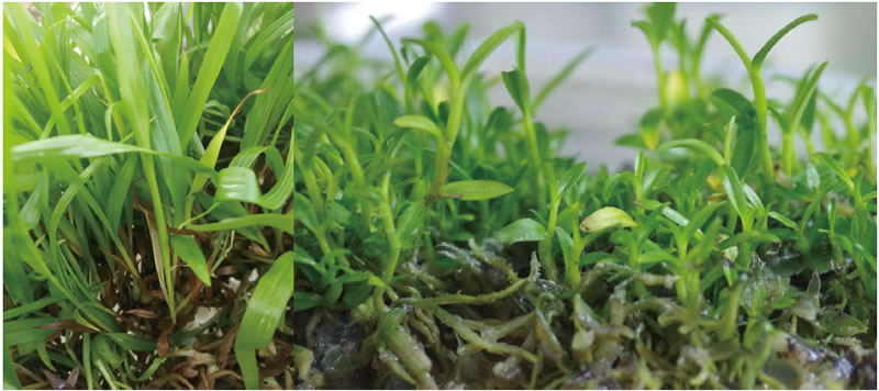 BioF25081213.jpg BioF25081213.jpg