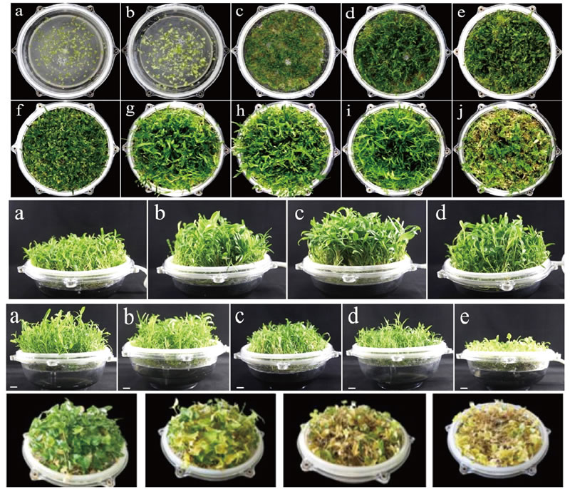 BioF25081216.jpg BioF25081216.jpg