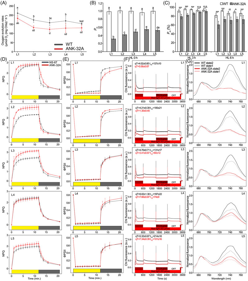 圖250828PJ-2.jpg 圖250828PJ-2.jpg