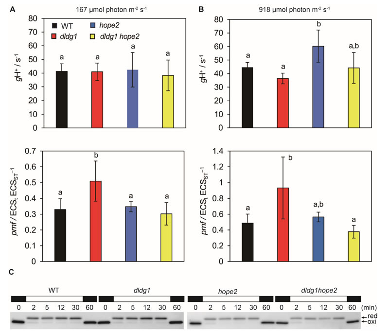圖250828PP-2.jpg 圖250828PP-2.jpg