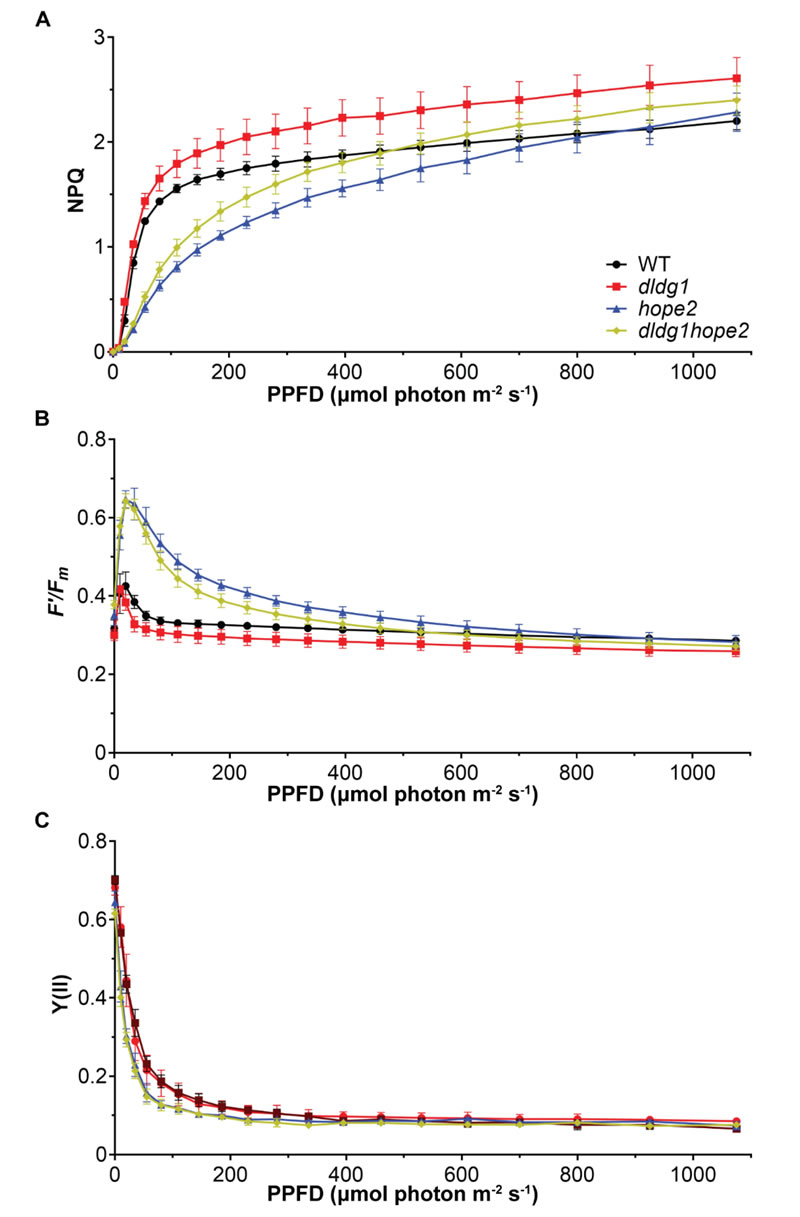 圖250828PP-4.jpg 圖250828PP-4.jpg