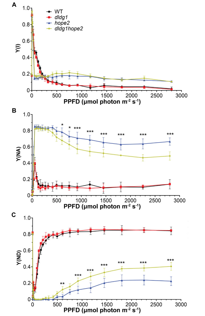 圖250828PP-5.jpg 圖250828PP-5.jpg