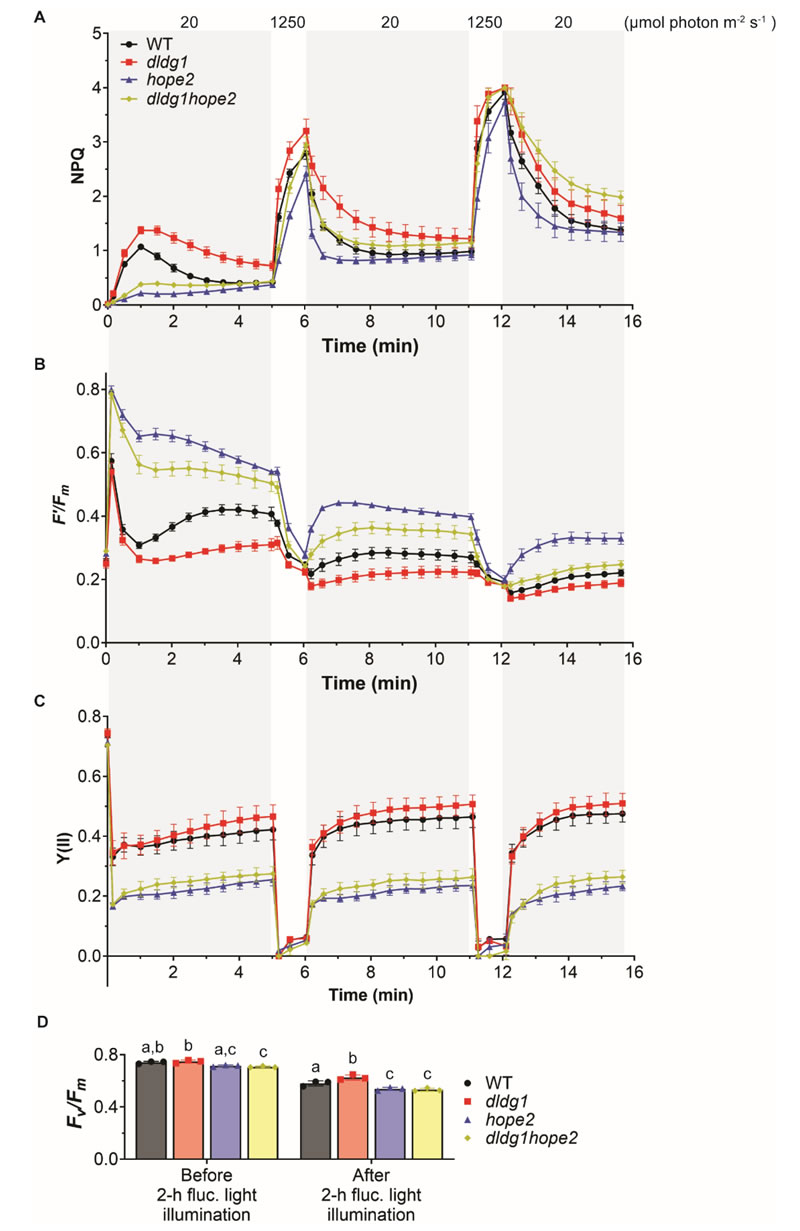 圖250828PP-7.jpg 圖250828PP-7.jpg