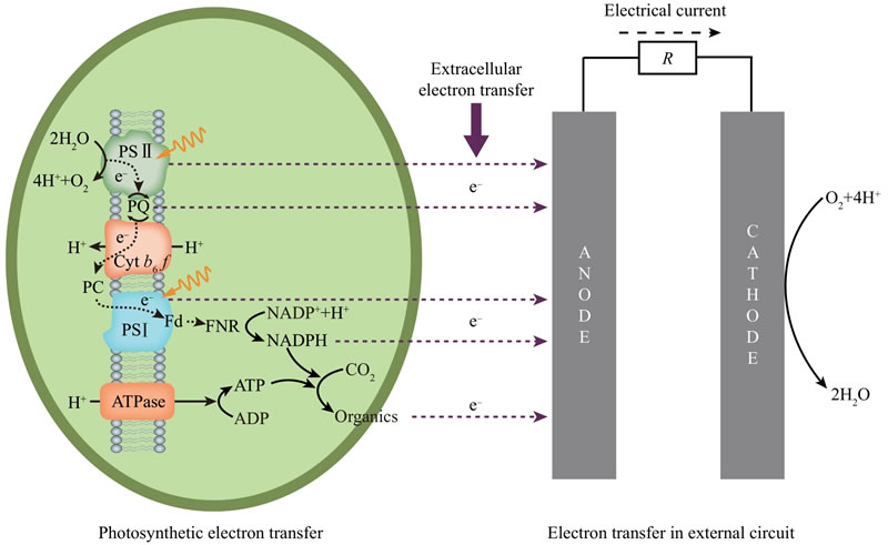 圖125090301.jpg 圖125090301.jpg