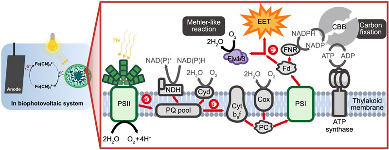 圖225090301.jpg 圖225090301.jpg