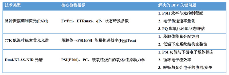 表125090301.jpg 表125090301.jpg