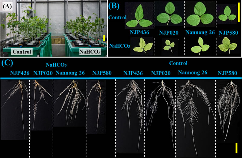 圖125040201.jpg 圖125040201.jpg