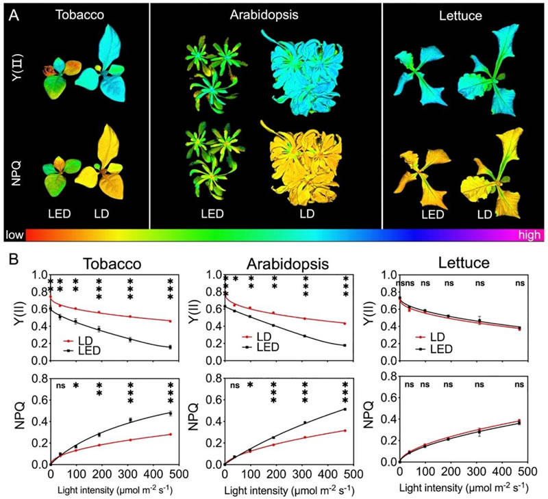 圖225052601.jpg 圖225052601.jpg