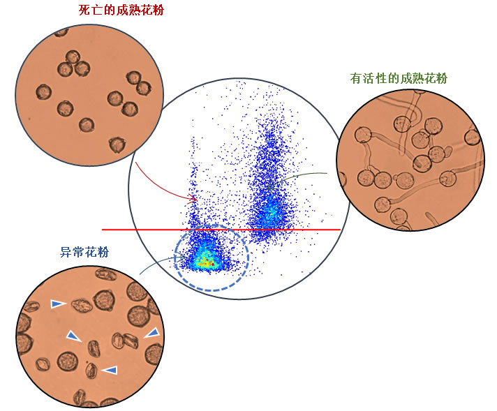 圖725063001.jpg 圖725063001.jpg